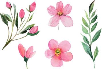 set of pink flowers