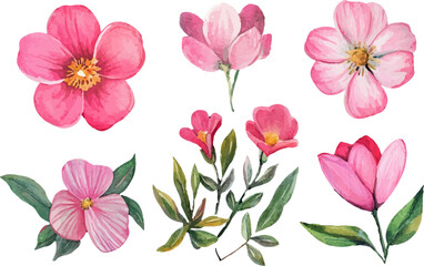 seamless pattern with pink flowers