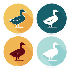 Fototapeta premium Duck Vector illustration isolated on white background