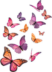 Beautiful colorful butterfly clipart showcasing intricate details and vibrant wing patterns.