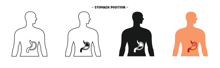 set of body organ designs, position of the human stomach, simple outline and colored style, editable vector eps 10.