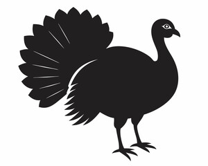 silhouette of turkey vector on white background