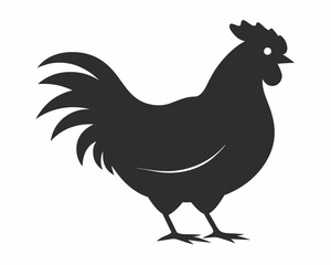 silhouette of Chicken vector on white background