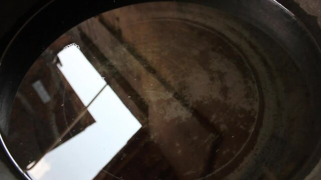 a used bucket full of moss filled with clear water