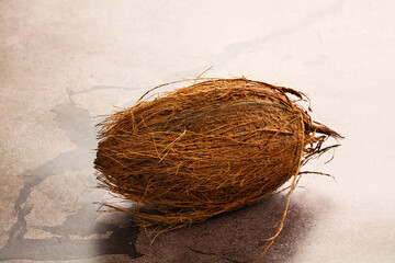 Natural exotic brown hairy coconut