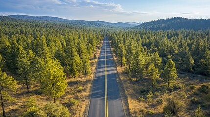 A scenic road stretches through a lush forest landscape under a clear sky.