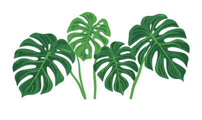 Fototapeta premium Tropical Monstera Leaves Minimalist Set in Flat Style Vector Illustration
