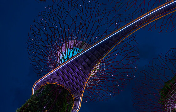 Supertree grove connecting bridge illuminating night sky in singapore
