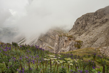 view of the Seceda area in the Italian Dolomites