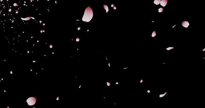 桜吹雪：桜の花びらアニメーション　背景透過　ループ