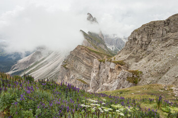 view of the Seceda area in the Italian Dolomites