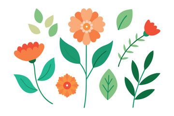  Botanic set of leaves and flower vector illustration.