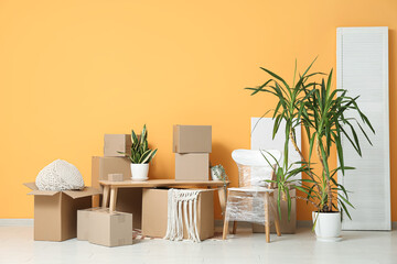 Wooden table, houseplants and cardboard boxes near orange wall. Moving house concept