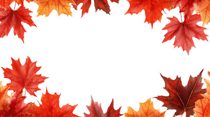 Red maple leaf isolated on transparent background, png