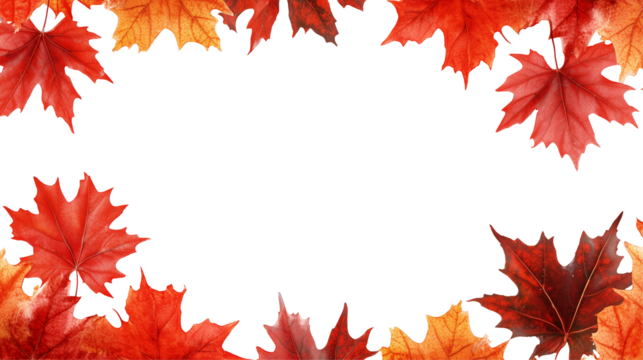Red maple leaf isolated on transparent background, png