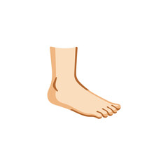 Foot
