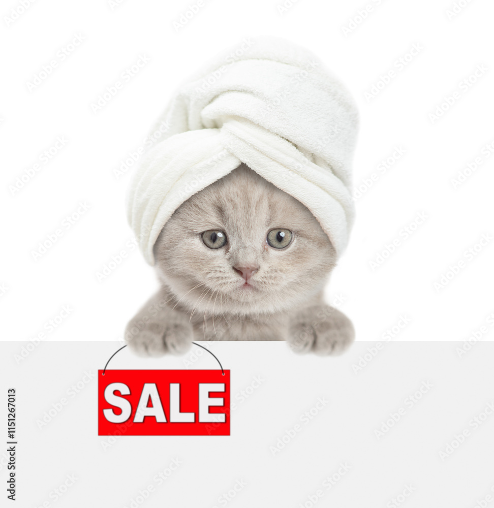 Poster cute tiny kitten wearing towel on it head shows signboard with labeled 