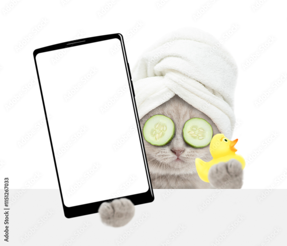 Aufkleber cute tiny kitten with towel on it head holds rubber duck and big smartphone with white blank screen 
