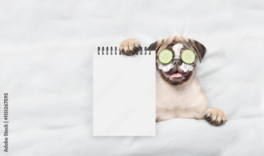Aufkleber Funny Pug puppy with pieces of cucumber on it eyes relaxing on the bed at home and showing empty list. Top down view. Empty space for text