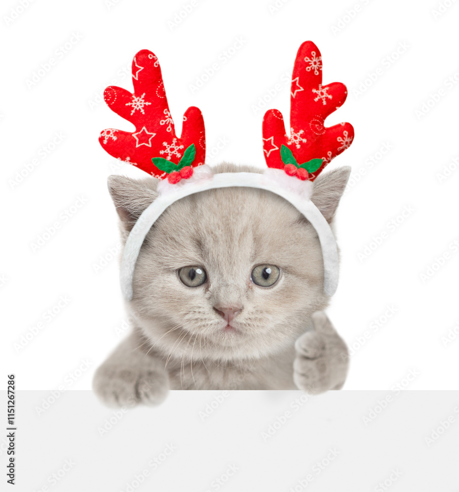 Poster Cute tiny kitten dressed like santa claus reindeer  Rudolf looking above empty white banner and showing thumbs up gesture. Empty space for text. isolated on white background