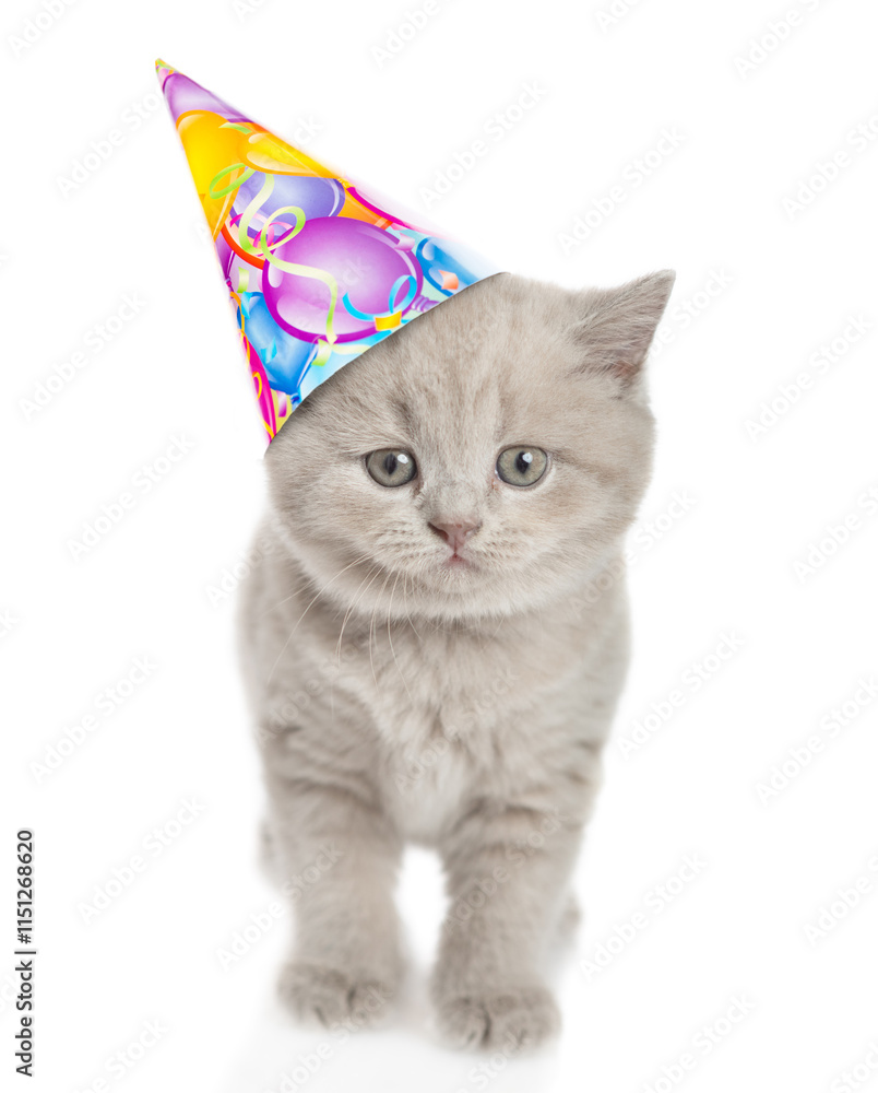 Poster cute tiny kitten wearing party cap standing and looking at camera. isolated on white background
