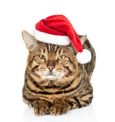 Adult bengal cat wearing red santa hat lying in front view and looking at camera. isolated on white background