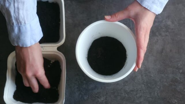 Professional gardener preparing potting mix, selecting nutrient-rich soil and blending organic components with white perlite for optimal plant growth