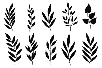 Branches and Leaves Silhouettes Set. Wild plants leaves black silhouettes isolated on white background