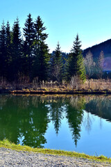 Nadelb&auml;ume spiegeln sich im Wasser des Teichalmsees (Steiermark)