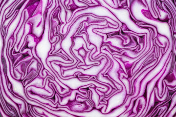 Extreme Closeup of Purple Cabbage Texture
