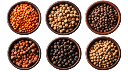 Lentils Variety: Six different varieties of lentils, each in a small clay bowl, showcased in a top-down view.  The lentils are arranged in a visually appealing, grid-like pattern.
