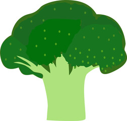 illustration of a broccoli