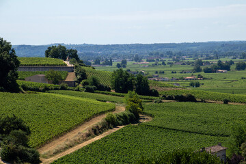 Obraz premium Saint-Émilion, France
