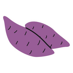 Hand drawn sweet potato, yam. Healthy vegetable with purple skin. Organic dieting food