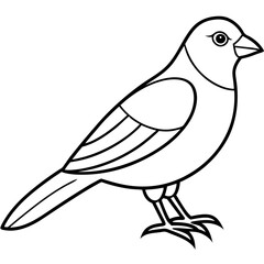 illustration of a bird