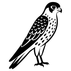 bird of prey