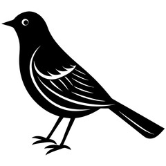 bird on a white background