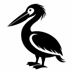 pelican