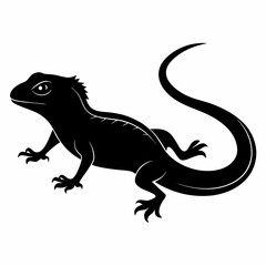 illustration of a lizard