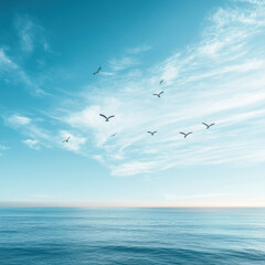 Fototapeta premium Seagulls flying over calm ocean under a clear blue sky.