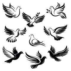 Obraz premium dove bird icon collection