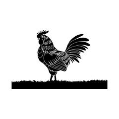 rooster icon design vectors illustration