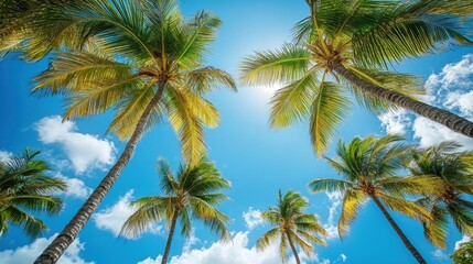 Obraz premium Palm trees against blue sky