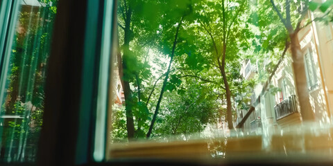 Lush green trees viewed from a window