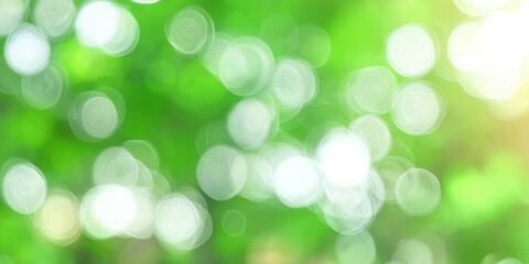 Obraz premium Abstract green bokeh background, nature