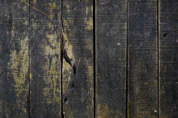 Fototapeta premium old wood texture
