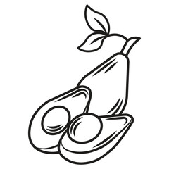 handdrawn Avocado