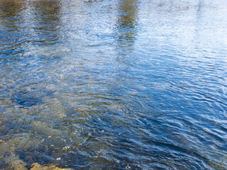 冬の川の流れ19