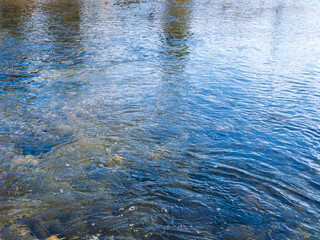 冬の川の流れ16