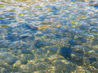 冬の川の流れ10